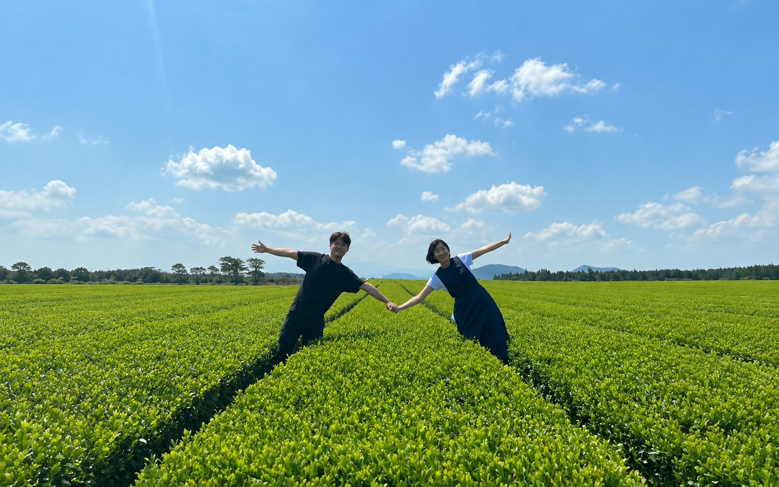 Jeju West Coast Sunset Bus Tour